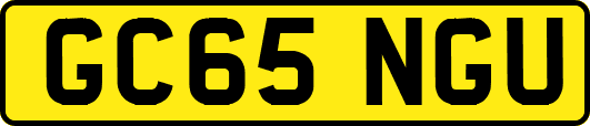 GC65NGU