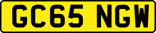 GC65NGW