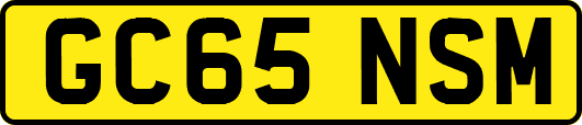 GC65NSM