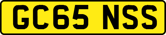 GC65NSS