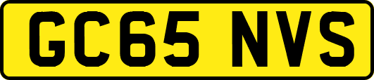 GC65NVS