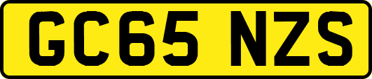 GC65NZS