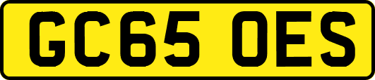 GC65OES
