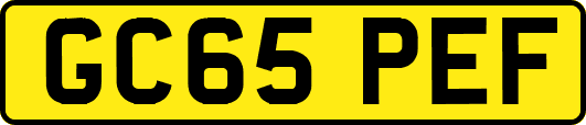 GC65PEF