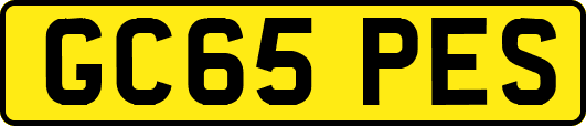 GC65PES