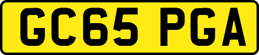 GC65PGA