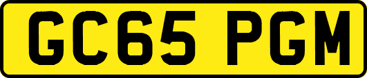 GC65PGM