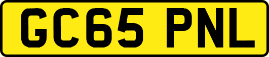 GC65PNL