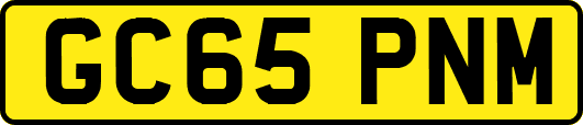 GC65PNM