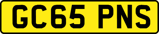 GC65PNS
