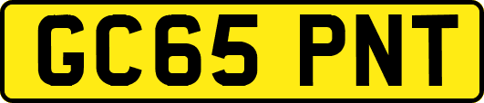 GC65PNT