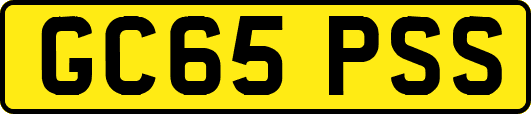GC65PSS