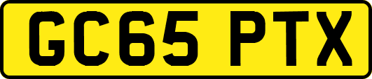 GC65PTX
