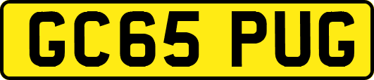 GC65PUG