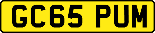 GC65PUM