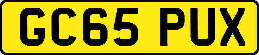 GC65PUX