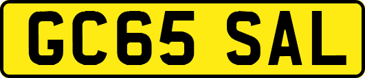 GC65SAL