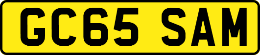 GC65SAM