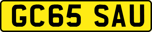 GC65SAU