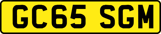 GC65SGM