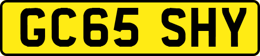 GC65SHY
