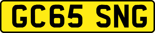 GC65SNG