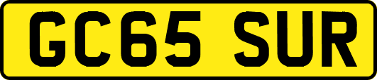 GC65SUR