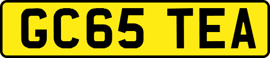 GC65TEA
