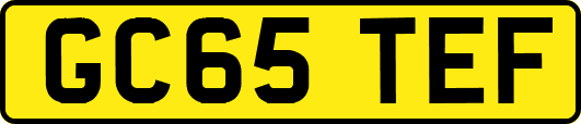 GC65TEF