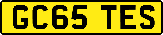 GC65TES