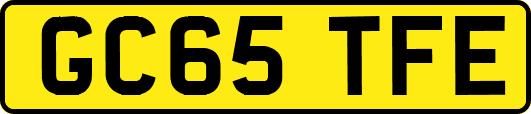GC65TFE