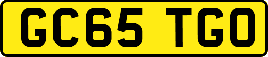 GC65TGO