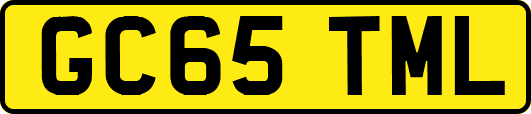 GC65TML