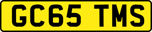 GC65TMS