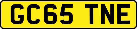 GC65TNE