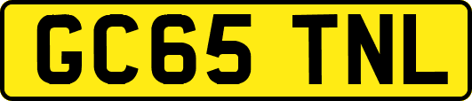 GC65TNL
