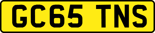 GC65TNS