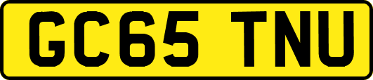 GC65TNU