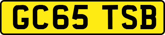 GC65TSB