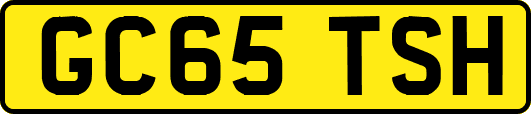 GC65TSH