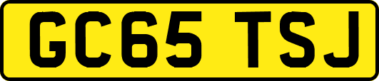 GC65TSJ