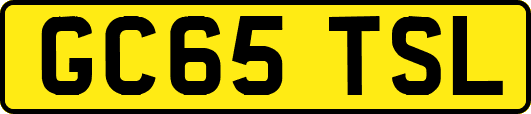 GC65TSL