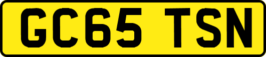 GC65TSN