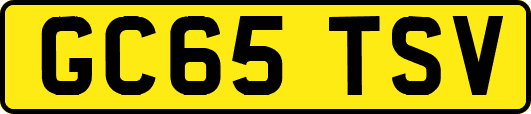GC65TSV