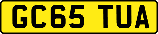GC65TUA