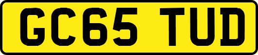 GC65TUD