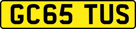 GC65TUS