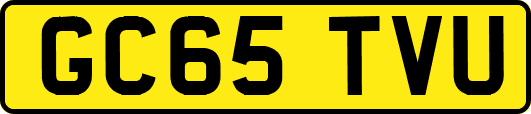 GC65TVU