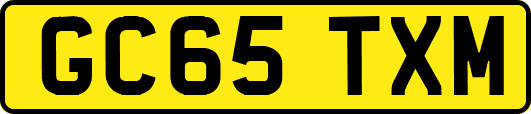 GC65TXM