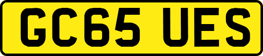 GC65UES